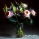 Flower Power